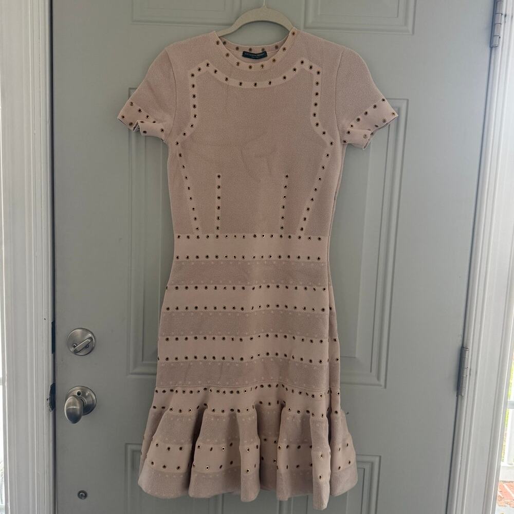 Alexander McQueen | champagne pink chenille rivet knit dress | size medium